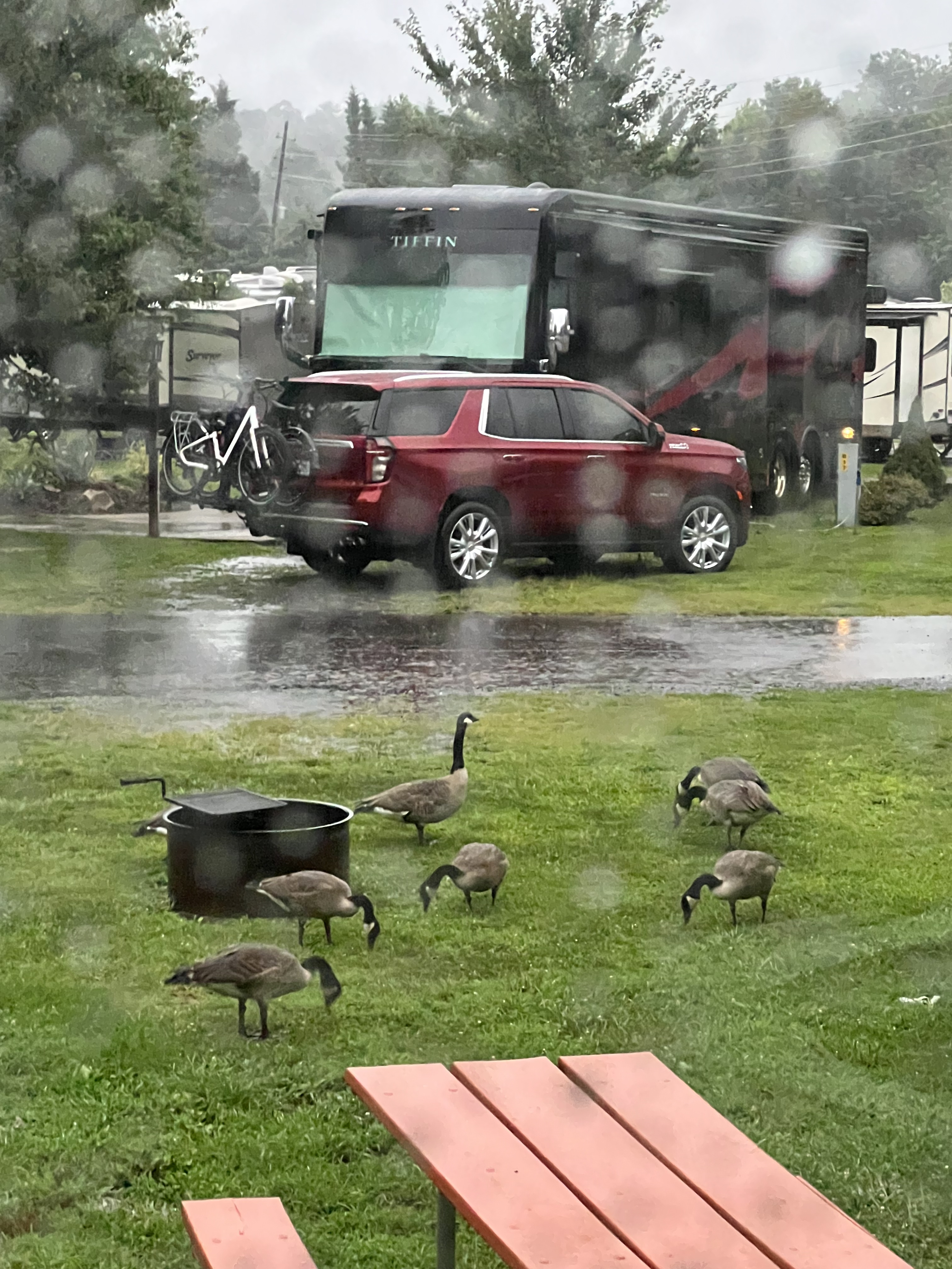 ./2023/11 - Asheville/IMG_9796.jpg